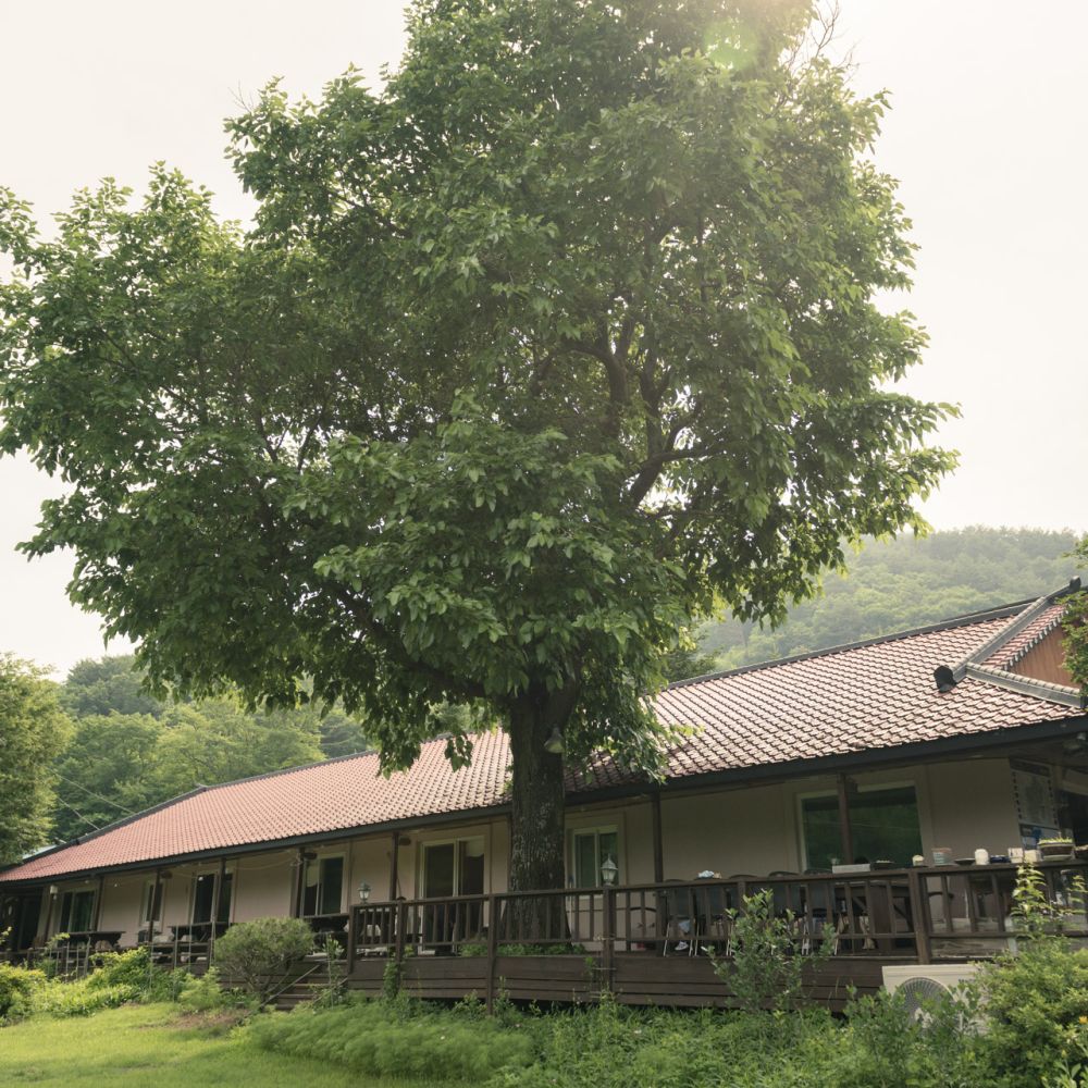 주간전경