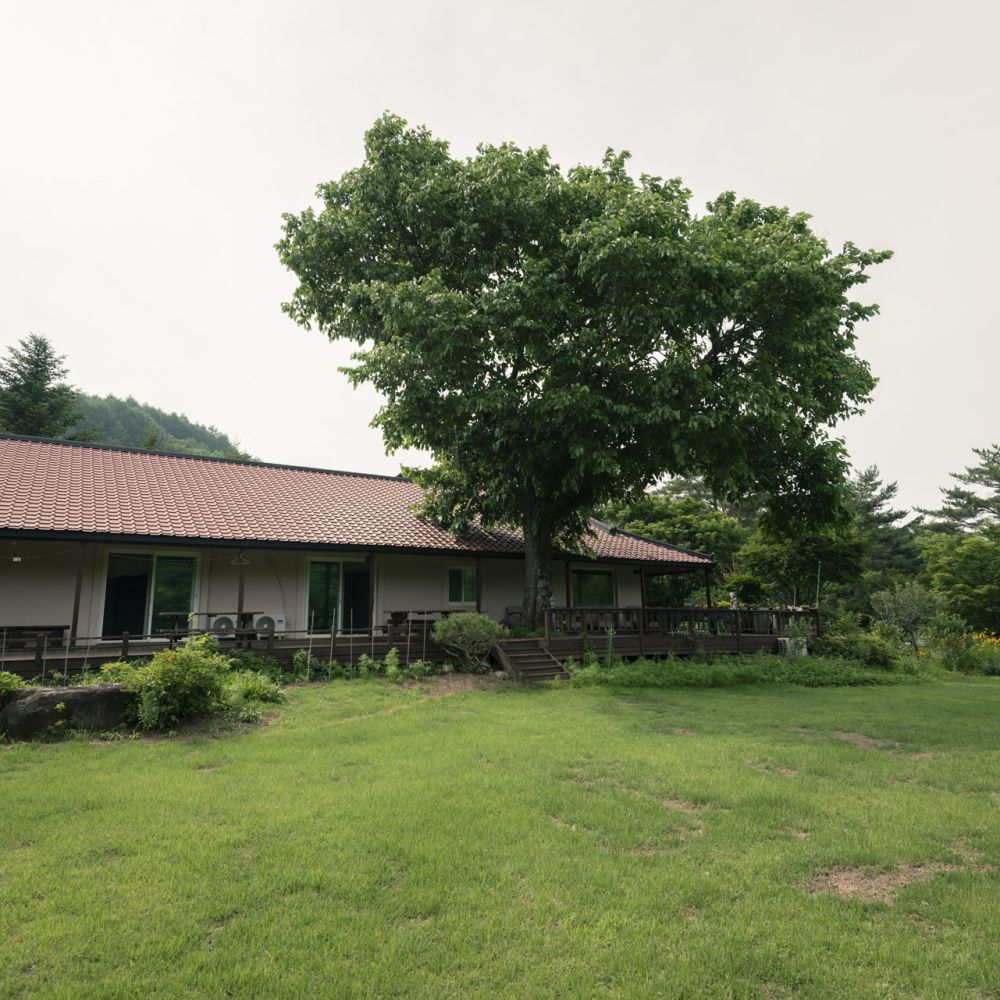 주간전경