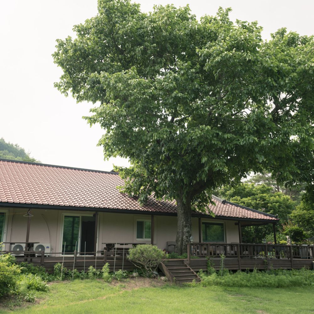 주간전경
