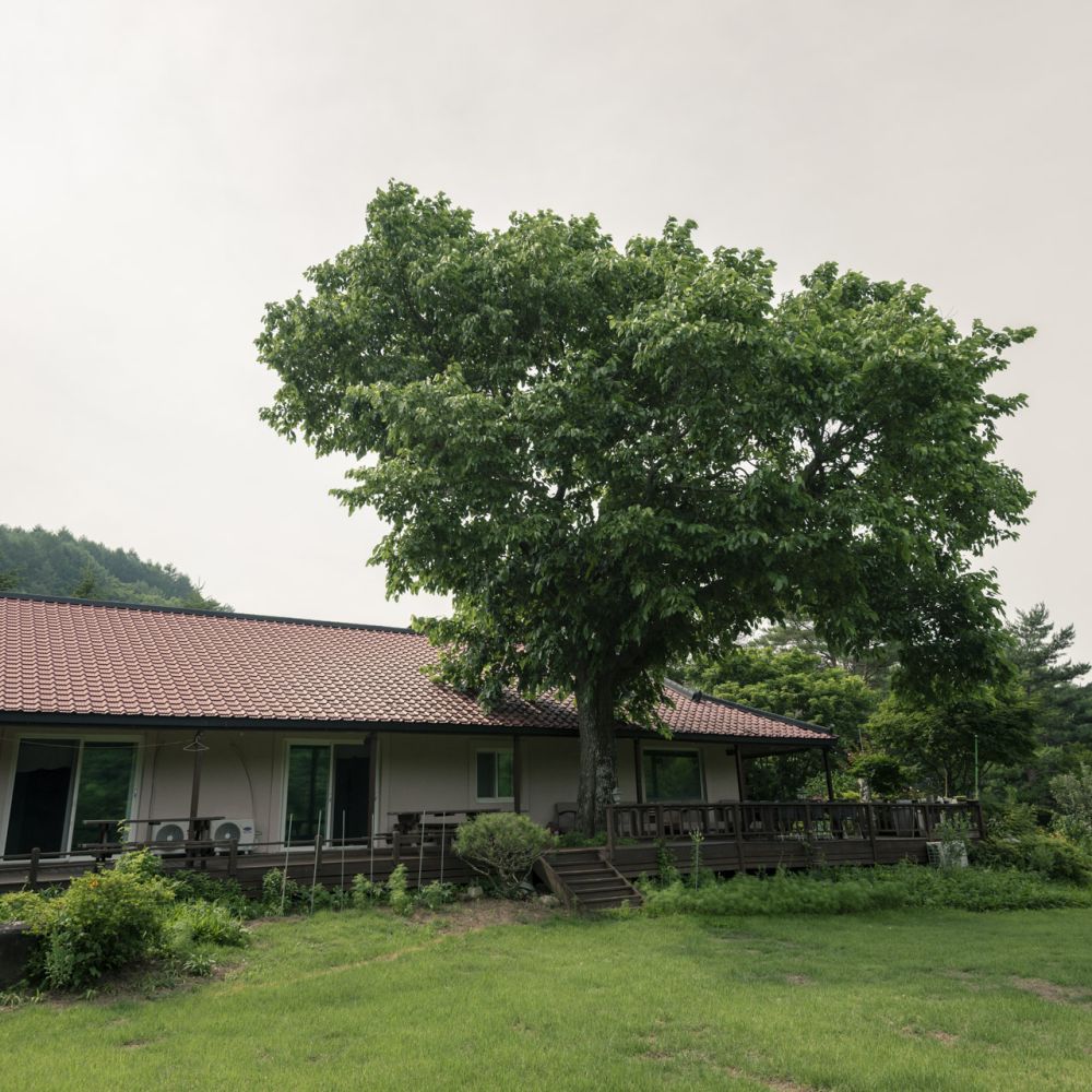 주간전경