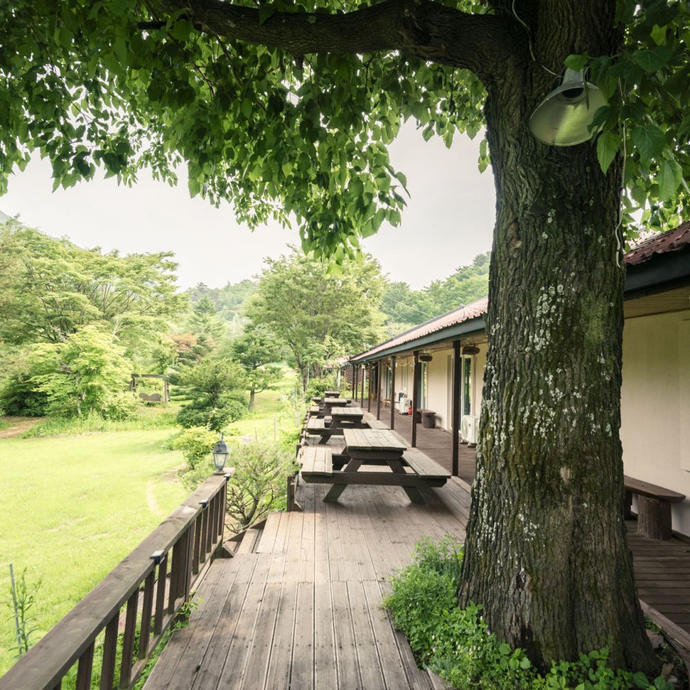 주간전경