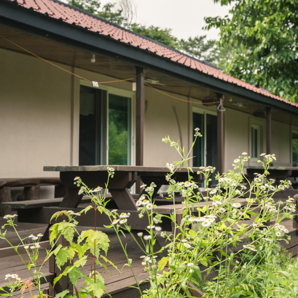 주간전경