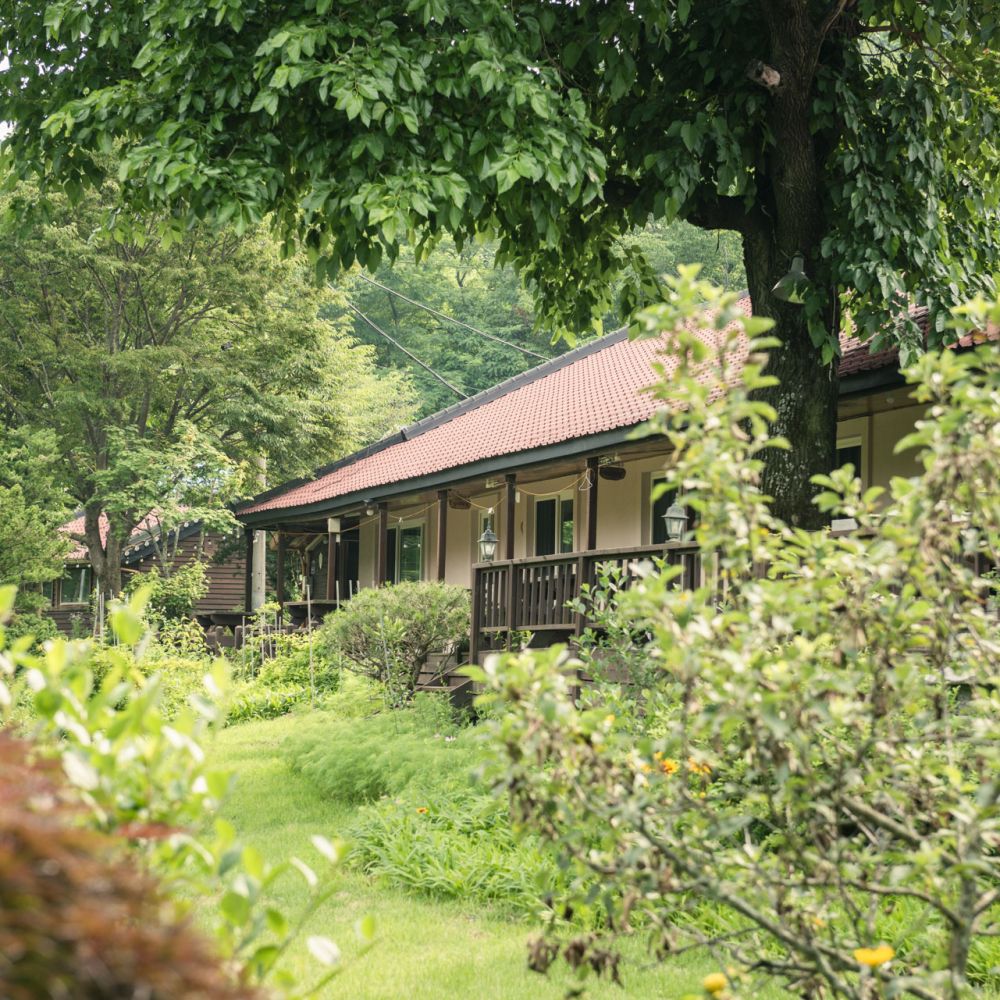 주간전경